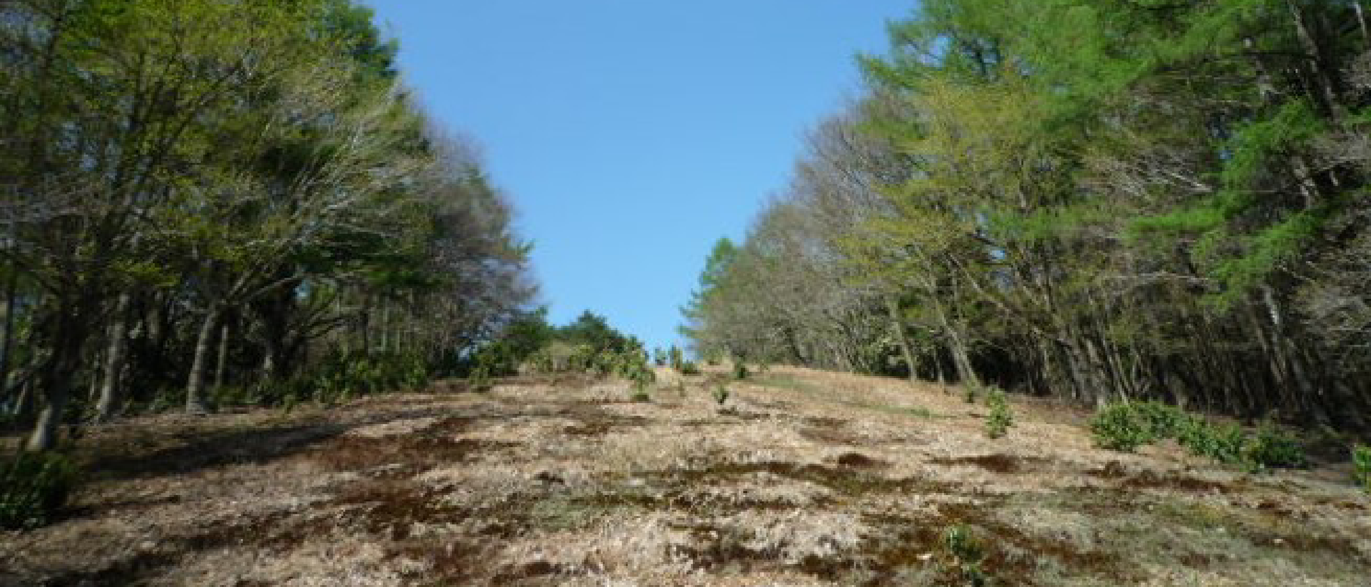 Mineyama plateau