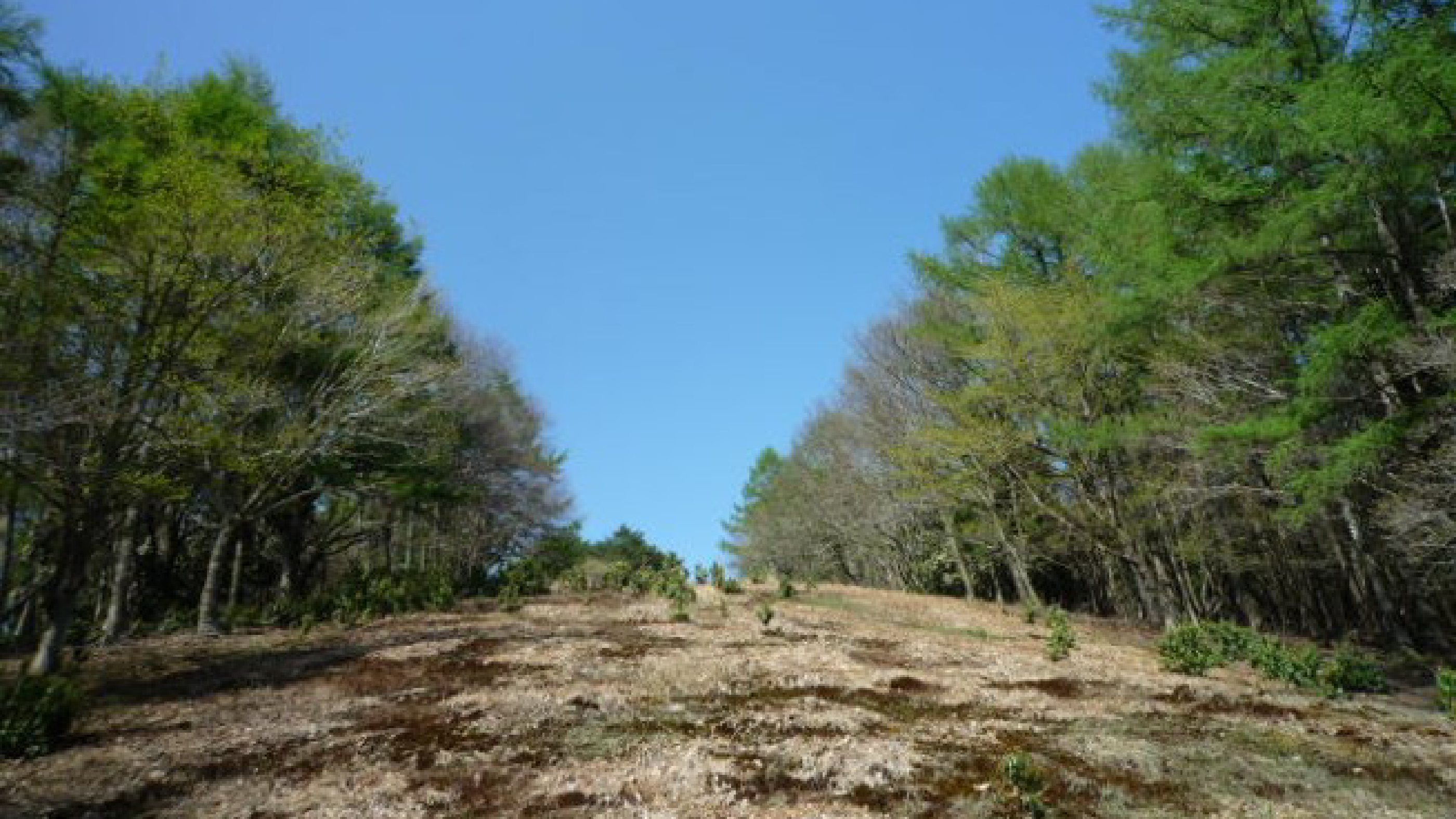 Mineyama plateau