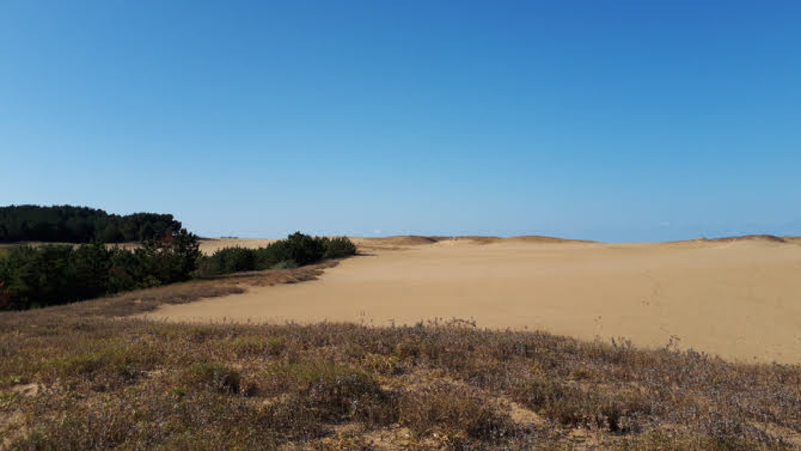 Tottori Sand Dunes