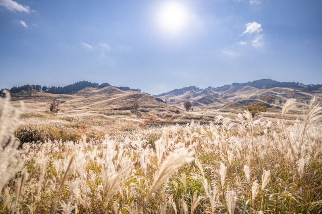 Autumn in Tonomine plateau